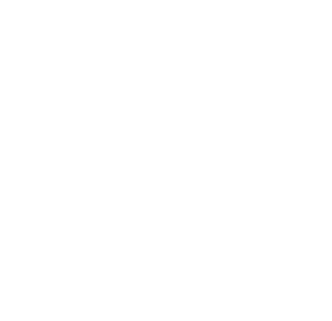 Santschi Consulting